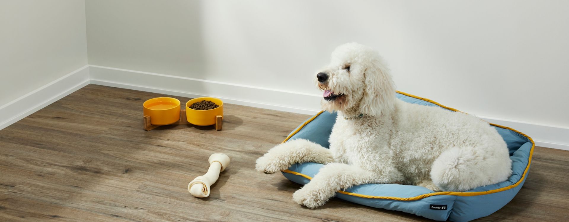 A large white dog rests on a blue dog bed, next to a bone and food and water bowls. The floor under the dog bed is covered in luxury vinyl wood-look planks.