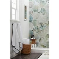 Thumbnail image of Hexagonal porcelain tile with green tones and floral print on wall. Black tile on floor. whit walls of tile.