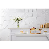 Thumbnail image of White 3-D contemporary wall tile on kitchen backsplash.