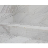 Thumbnail image of Natural marble in warm and cool tones in shower