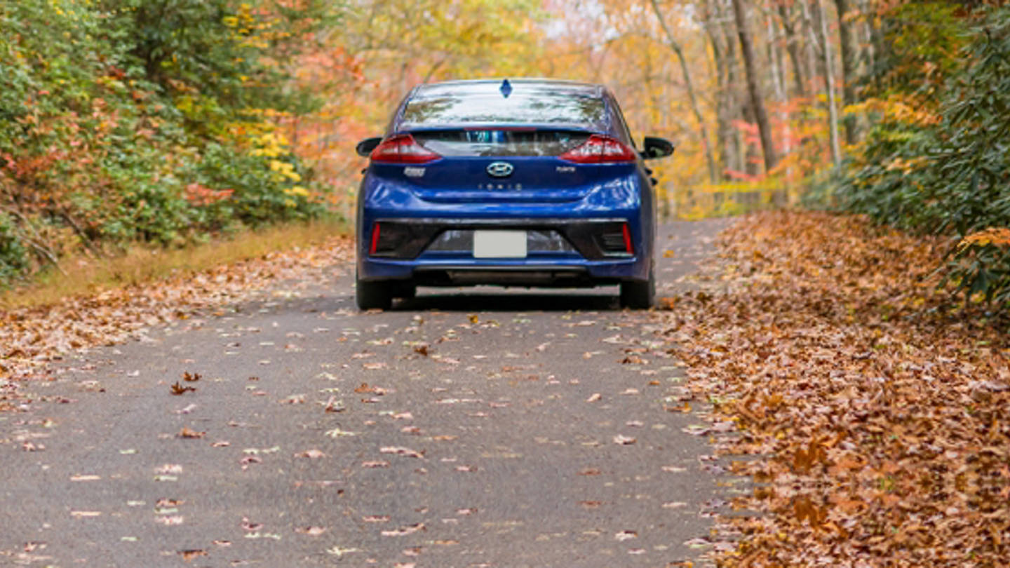 avis-globalweb-flash-fall-crop.jpg