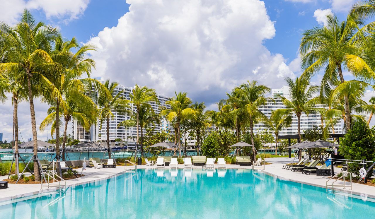Pool and Pool deck