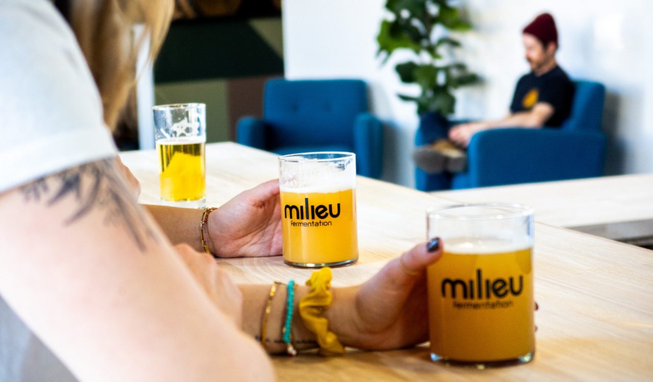 Milieu Fermentation