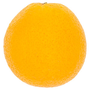 Loose Orange
