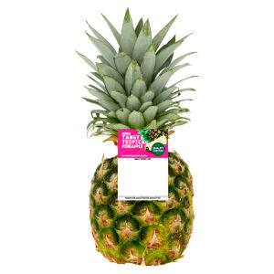 Tangy & Tropical Pineapple