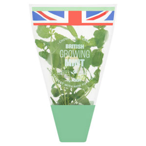 British Growing Mint