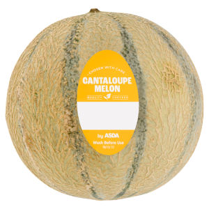 Cantaloupe Melon