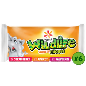 Wildlife Choobs Strawberry Raspberry & Apricot Kids Yoghurt Tubes 6x37g