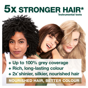 Garnier Nutrisse 9.13 Natural Light Ash Blonde Permanent Hair Dye