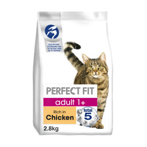 Advanced Nutrition Adult Complete Dry Cat Food Salmon