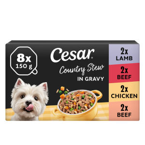 Cesar Fresh Bowls Wet Dog Food Mixed Selection In Gravy 6 x 85g