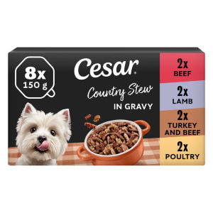 Cesar Country Stew Adult Wet Dog Food Trays Special Selection 