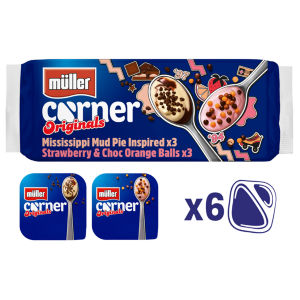 Originals Mississippi Mud Pie and Strawberry & Chocolate Orange Balls Yogurt