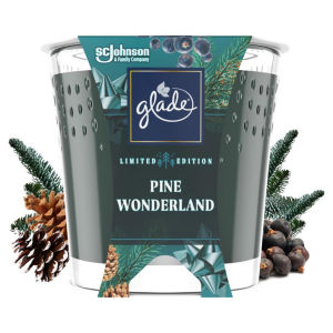 Candle Small Scented Candle Pine Wonderland