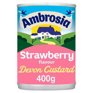 Strawberry Custard Dessert Can 400g