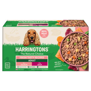 Fresh Tasty Single Serve Recipes with Veg Adult Grain Free 6 x 150g