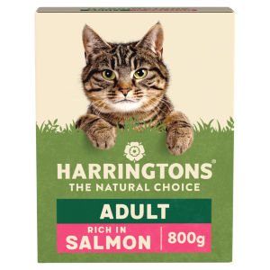 Dry Cat Food Salmon 800g