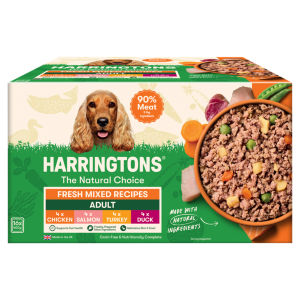Fresh Mixed Recipes with Veg Adult Grain Free 16 x 400g