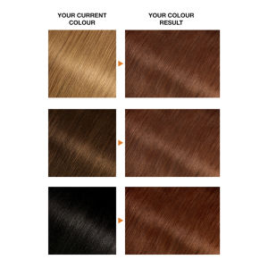 Garnier Belle Colour 5.5 Natural Light Auburn Permanent Hair Dye