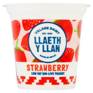 Village Dairy Llaeth Y Llan Blueberry Low Fat Bio-Live Yogurt