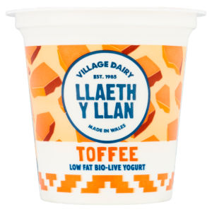 Village Dairy Llaeth Y Llan Blueberry Low Fat Bio-Live Yogurt