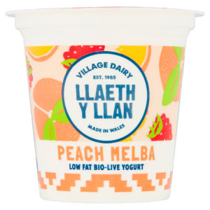 Llaeth y Llan Blackcurrant Low Fat Bio-Live Yogurt 125g
