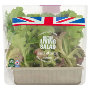 British Living Salad Leaves