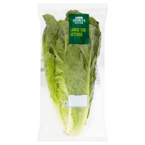Large Cos Lettuce