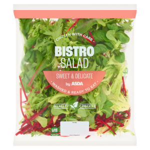 Mild Bistro Salad 170g