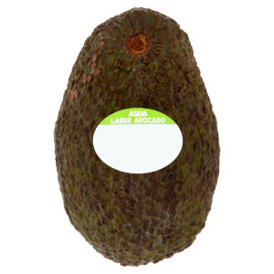 Large Avocado