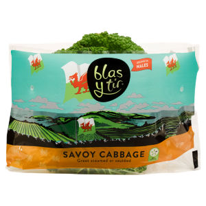 Essential Savoy Cabbage