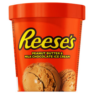 Peanut Butter & Milk Chocolate Ice Cream 310g