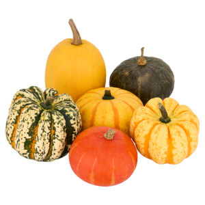 Squash