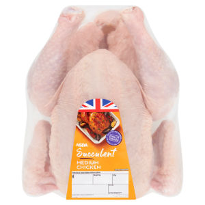 Succulent Medium Chicken