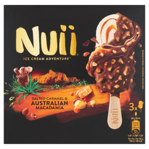 Ice Cream Adventure Salted Caramel & Australian Macadamia  270ml