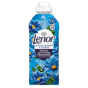 Fabric Conditioner 29 Washes, Coastal Flowers & Cypress