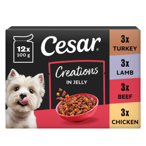 CESAR Senior 10+ Deliciously Fresh Dog Pouches Favourites in Jelly 12x100g
