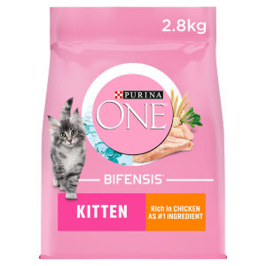 PURINA ONE Kitten Chicken Dry Cat Food