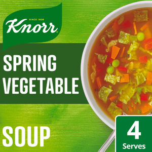Dry Packet Soup Florida Spring Vegetable 48 g