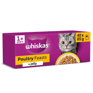 WHISKAS 1+ POULTRY Feasts Wet Cat Food Pouches in Jelly 40 x 85g