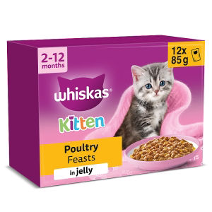 Whiskas Kitten Fish Favourites Wet Cat Food Pouches in Jelly