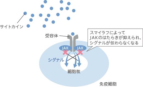 action_img02_sp