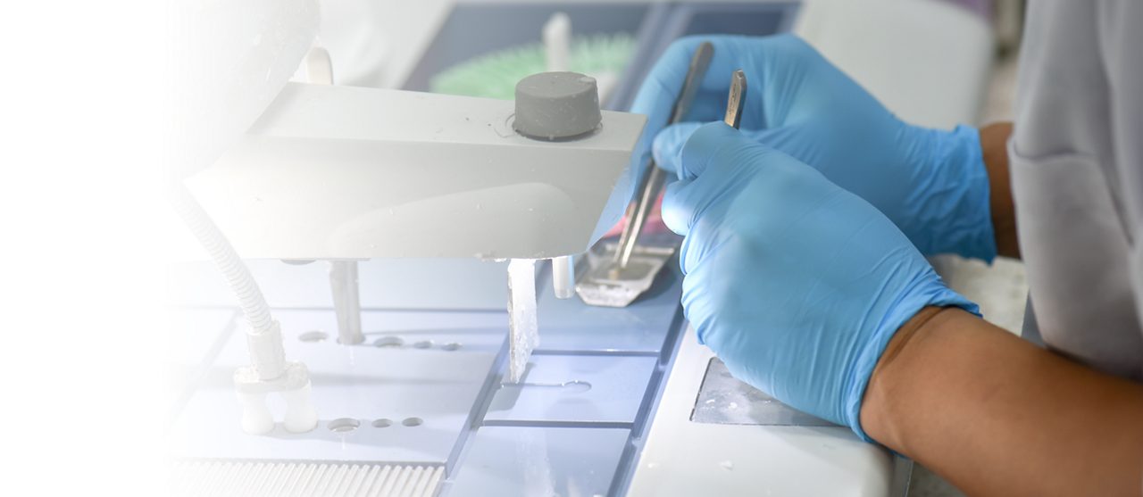 Lab technician in blue gloves using forceps to prepare a tissue sample.