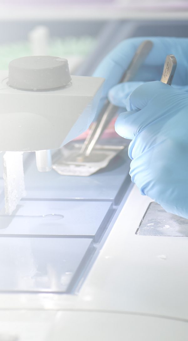 Lab technician in blue gloves using forceps to prepare a tissue sample.