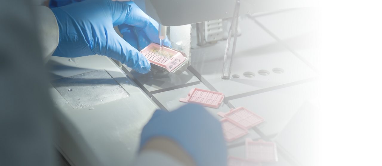  Laboratory technician handling tissue cassettes at an embedding workstation.