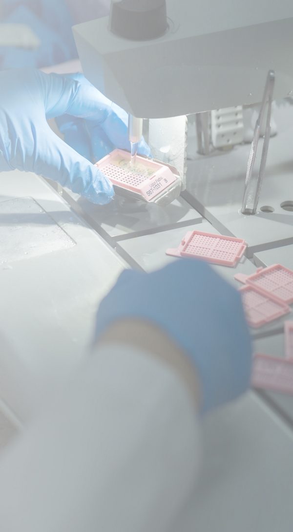  Laboratory technician handling tissue cassettes at an embedding workstation.