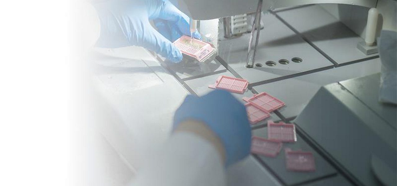 Laboratory technician handling tissue cassettes at an embedding workstation.