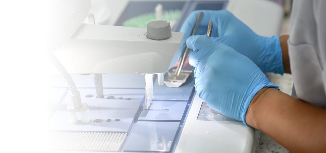 Lab technician in blue gloves using forceps to prepare a tissue sample.