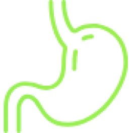 Green stomach icon