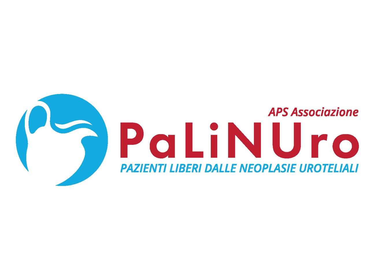 Associazione Palinuro logo.